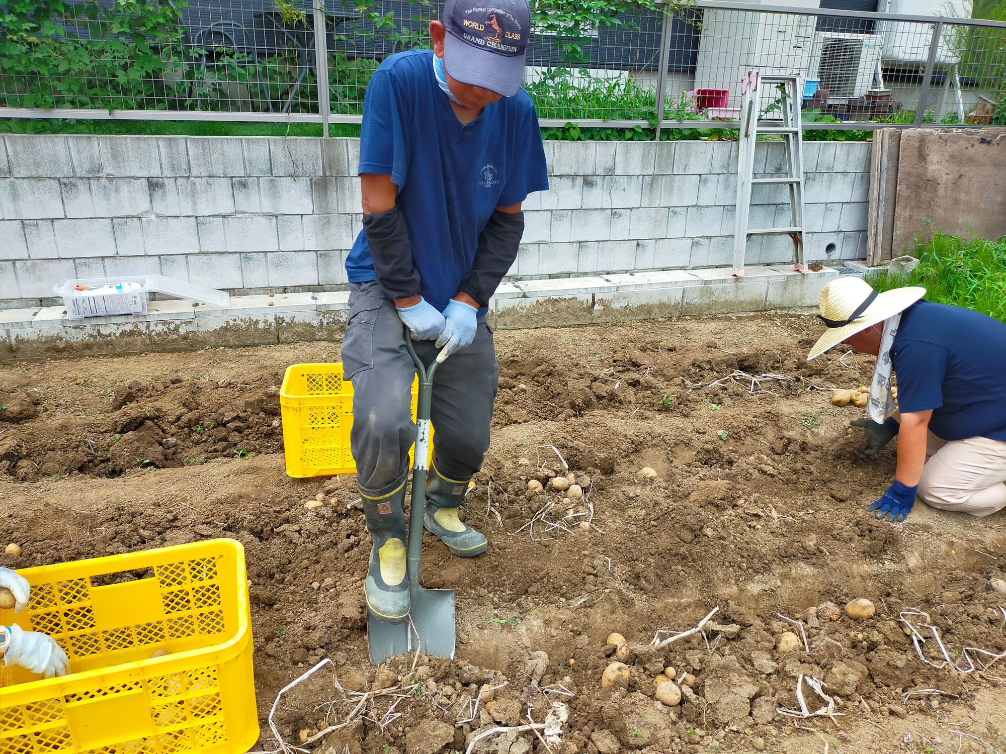 畑作業や外作業の様子